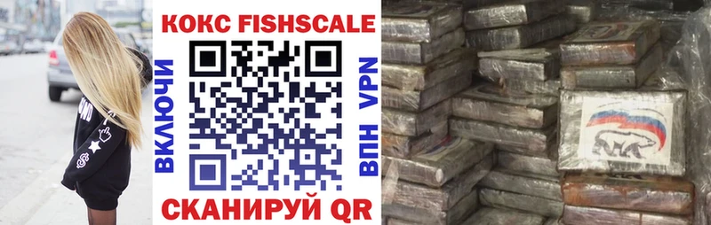 COCAIN Fish Scale  Купить закладки  Джанкой 