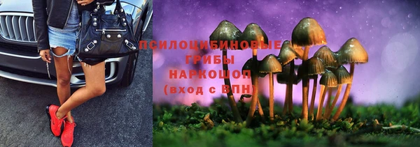 не бодяженный Инта