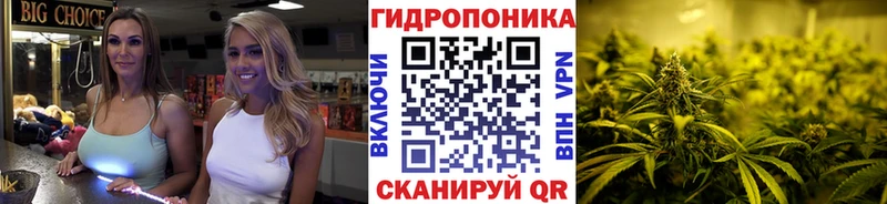 МАРИХУАНА MAZAR  Купить закладки  Джанкой 
